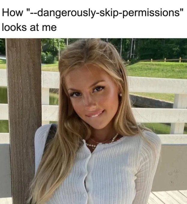 dev-dangerously-skip-permissions.jpeg